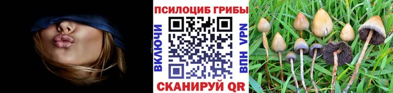 купить наркоту  Реутов  Галлюциногенные грибы прущие грибы 